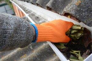 Winterize Your Home: Thoroughly Clean Gutters for Optimal Drainage