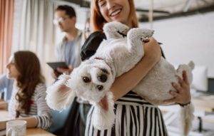 Pet-Friendly Features in Real Estate 