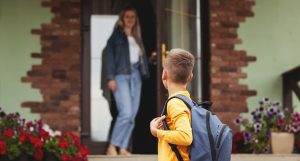 The Influence of Schools on Home Values